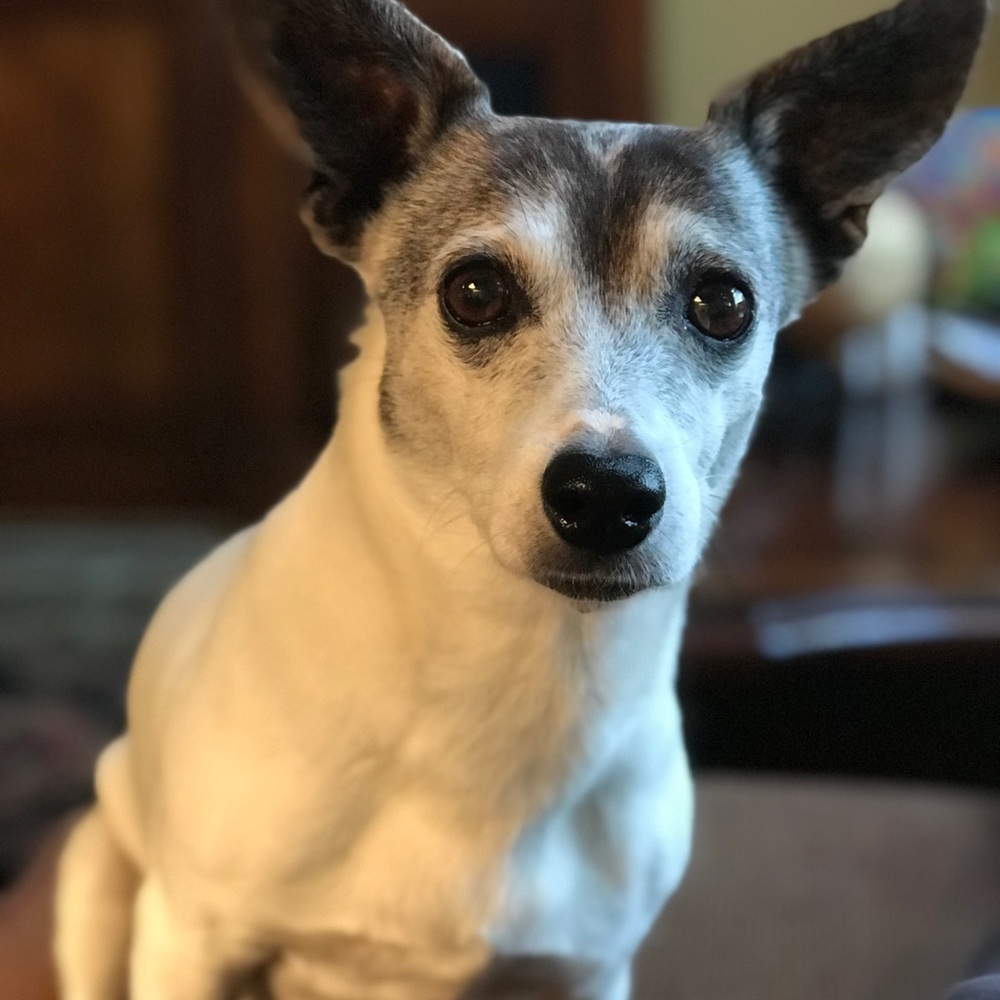 Meet your Posher, Cynthia